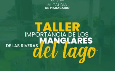 Instituto Municipal del Ambiente, realizó taller de importancia en los Manglares de las Riveras del Lago de Maracaibo.