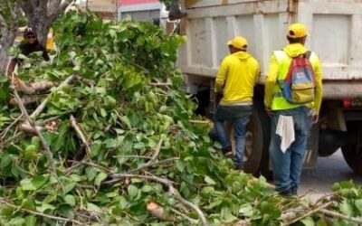 El Instituto Municipal del Ambiente continúa con sus operaciones de limpieza en nuestra casa grande.