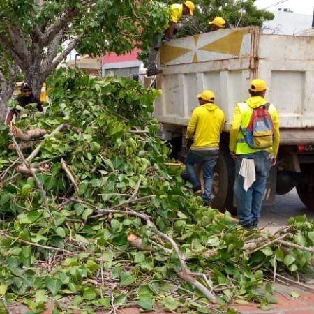 El Instituto Municipal del Ambiente continúa con sus operaciones de limpieza en nuestra casa grande.